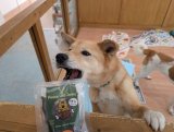 【プレゼントジャーキー】浜松譲渡センターへお届け！
