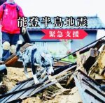 救助犬ロジャー
