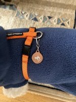 ご購入者様提供