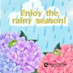 画像2: 梅雨彩ラベルコーヒー200g (2)