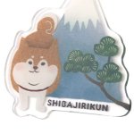 柴尻君と富士山