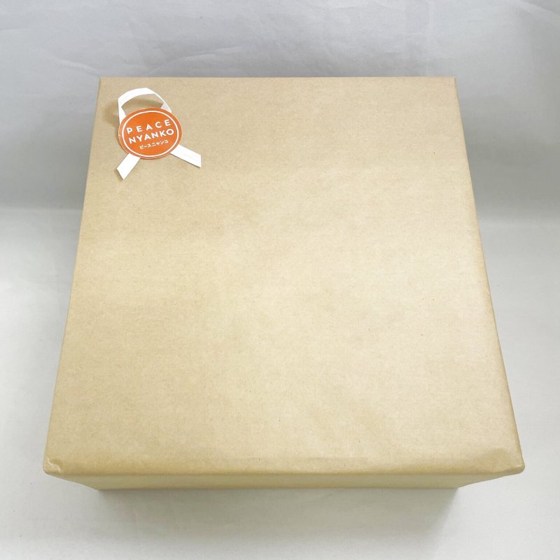 画像4: ニャンコ水出しコーヒーギフト (4)