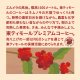 コーヒー完熟豆(ピンク背景)レギュラー粉