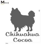 Mサイズ