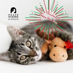 ニャンコクリスマス