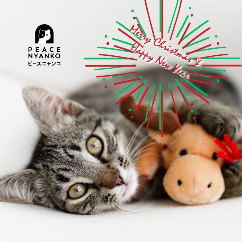 ニャンコクリスマス