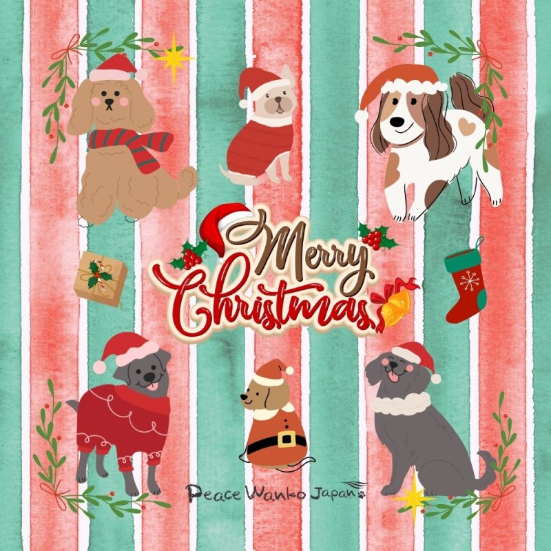 画像3: クリスマスワンココーヒー200g (3)