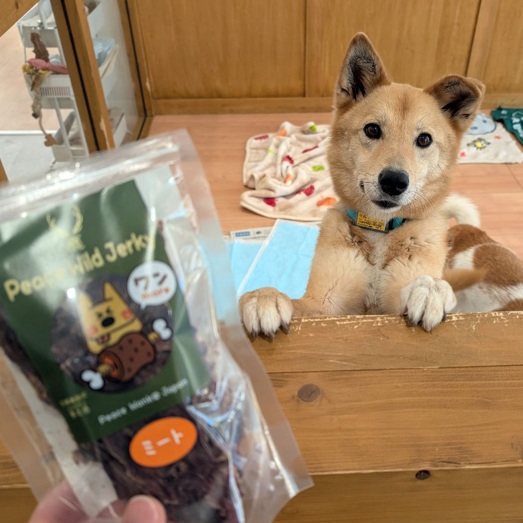 ピースワイルドジャーキー【保護犬プレゼント】こちらの商品はピースワンコ譲渡センター/シェルターのワンコへ直接プレゼントするものでお客様のお手元へは届きません